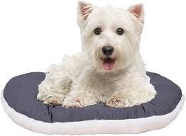 Cama Cojín Ferplast para Perros y Gatos Pequeños