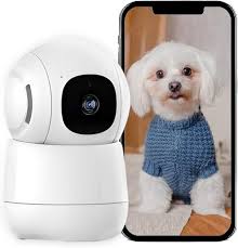 Cámara de Seguridad Interior WiFi 1080P Aichiw