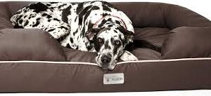 Cama Ortopédica Espuma para Perros PetFusion Ultimate