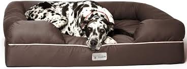 Cama Ortopédica Espuma para Perros PetFusion Ultimate