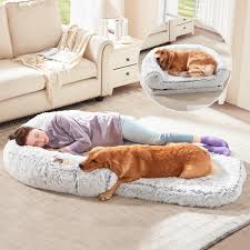 Cama Plegable 2 en 1 para Perros y Humanos