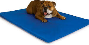 Cama Refrigerada para Mascotas K&H