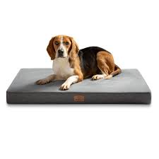 Cama Ortopédica Grande para Perros - Colchón Lavable