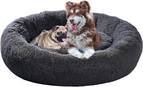 Cama Lavable para Perros Extra Grande