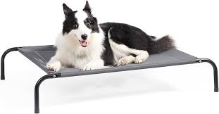 Cama Elevada Impermeable para Perros Medianos - Ideal para Exteriores