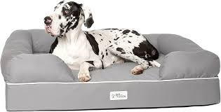 Cama Viscoelástica para Perros Grandes - Gris
