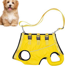 Arnés de Elevación y Chaleco Salvavidas para Perros