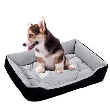 Oferta Especial: Camas y Colchonetas para Perros TTBD