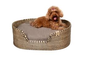 Cama MISSLOTO para Perros y Gatos Medianos