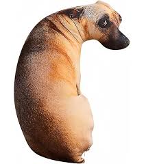 Cojín Canino La Revuelta