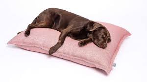 Camita Exterior para Perros: Resistente y Repelente al Agua