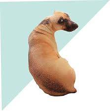 Almohadas Simuladas para Perros LALADEFIEE - 2 Piezas