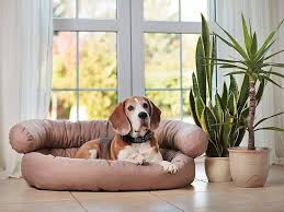 Juelle Sofá para Perros Grandes - Cama Confortable