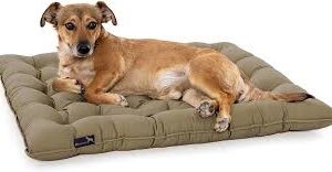 Cojín Ortopédico Pointer para Perros - Suave y Exterior