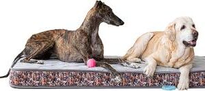 Dormio XL: Colchón Ideal para Perros Grandes