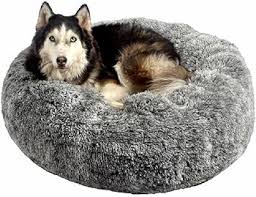 Cojín para Cama de Perro Bobby Canifrance Poilu