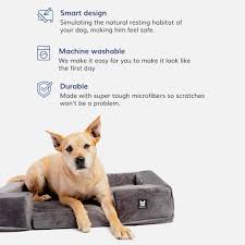 Patas Box: Cama Desenfundable para Perros de Todos los Tamaños