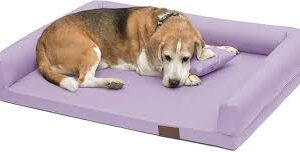 Cama Ortopédica Ergonómica para Perros Grandes Juelle