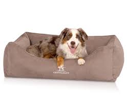 Cama Ortopédica para Perros Baltimore con Cojín Reversible