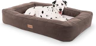 Cesta Grande para Perros Brunolie: Lavable y Higiénica