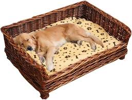 Nido Acogedor para Mascotas