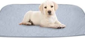 KoKoBin: Alfombrillas Reutilizables para Entrenamiento Canino