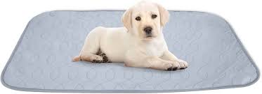 KoKoBin: Alfombrillas Reutilizables para Entrenamiento Canino