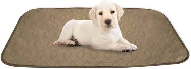 KoKoBin: Alfombrillas Lavables y Reutilizables para Entrenamiento de Perros