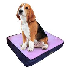 Cama Pequeña Ellie-Bo para Perros con Lados de Pana