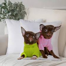 Funda de Cojín 50x50cm: Lindo Chihuahua de Chocolate