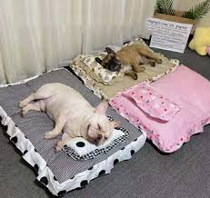 Cama Suave y Calmante para Bulldog Intohou