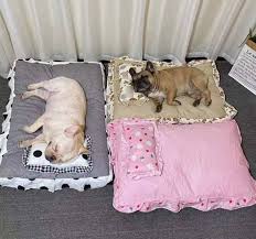 Cama Suave y Calmante para Bulldog Intohou