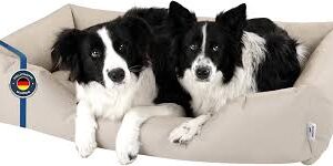 Cama XXL para Perros BedDog