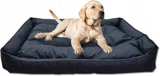 Cama Grande para Perros Odolplusz 150x105 cm