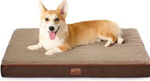 Cama Ortopédica Grande para Perros - Colchón Lavable Bedsure