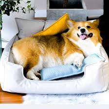 Sofá Cama de Latex para Mascotas