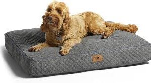 Snug - Cama Grande para Perros