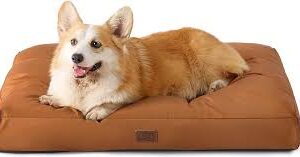 Cama Impermeable para Perro Mediana - 76x50x10 cm