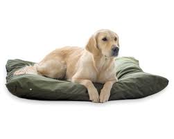 Cojín Lavable ZOE 4L para Perros con Funda y Cremallera