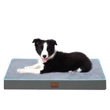 Cama Ortopédica para Perros de 3 Pulgadas - Bedfolks