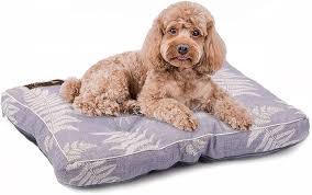 Cama Grande para Perros Petaccom-Petking