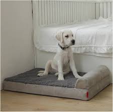 Cama Ortopédica Extra Grande para Perros Desenfundable y Lavable