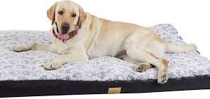 Cama Sofá para Perros Grandes BingoPaw 135x100 cm
