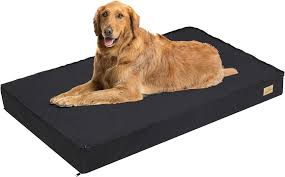 Cama Ortopédica Lavable para Perros Grandes