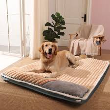 Cama Ortopédica para Perros Pet Aurora