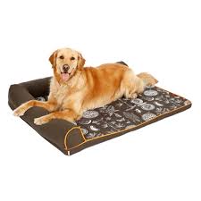 Cama Ergonómica Reclinable para Perros