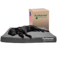 Cama Ortopédica XXL Furhaven para Perros - Resistente al Agua