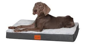 KYG Cojín Grande para Perros - Cama Confortable