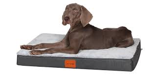 KYG Cojín Grande para Perros - Cama Confortable