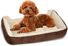 Cama Reforzada para Perros Medianos PETCUTE